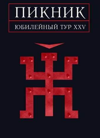 Пикник юбилейный концерт